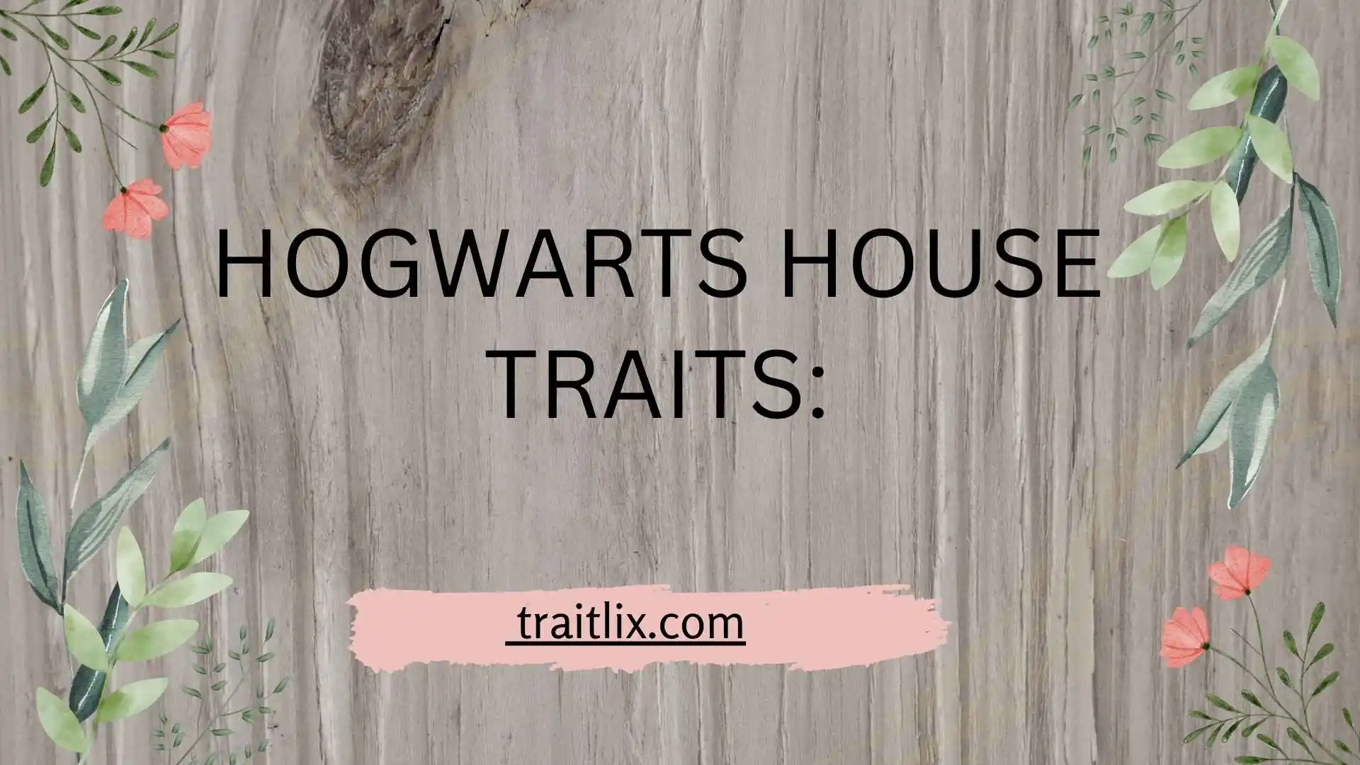 25+ Hogwarts House Traits: A Complete Guide to Gryffindor, Hufflepuff, Ravenclaw, and Slytherin