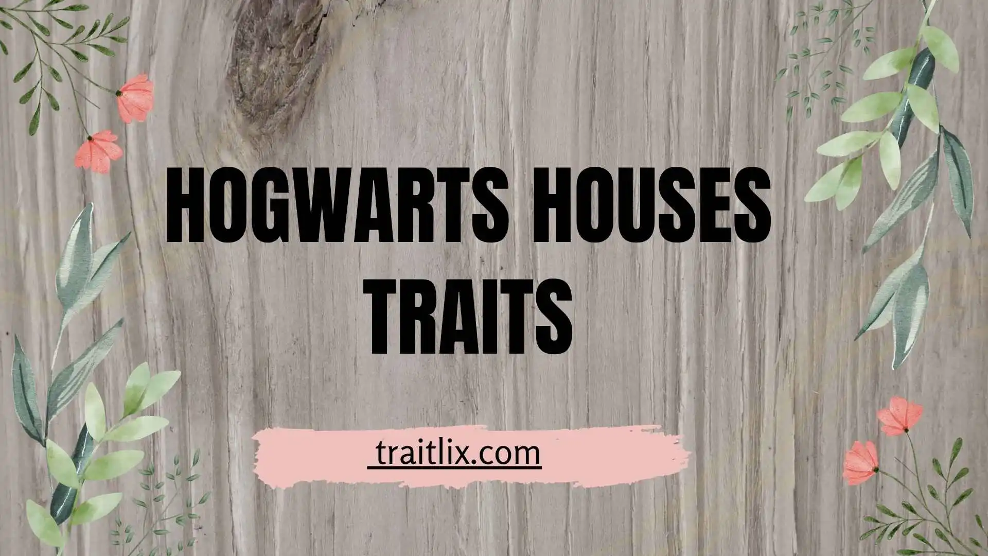 42+ Hogwarts Houses Traits: Complete Guide to Gryffindor, Hufflepuff, Ravenclaw, and Slytherin