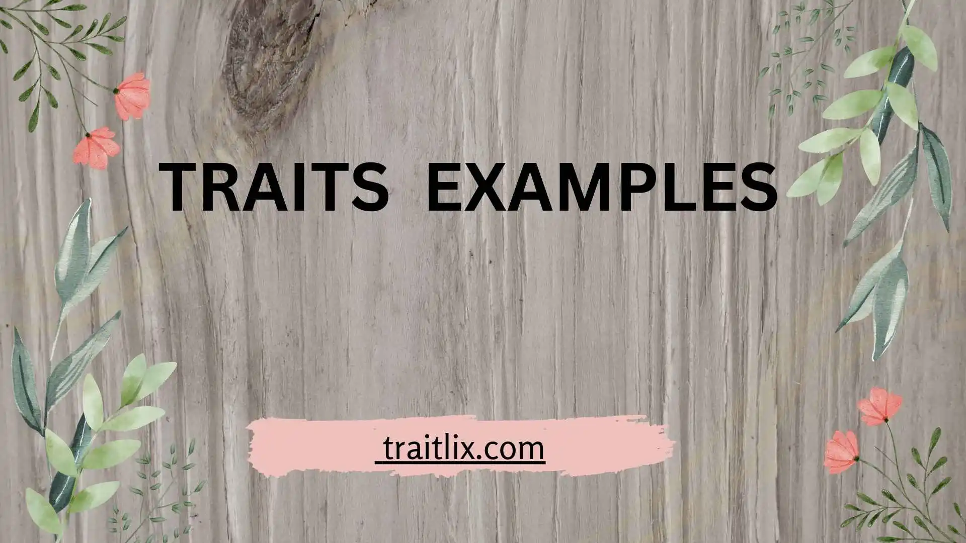 Traits Examples: Positive, Negative, Personality, Character, and Physical Traits