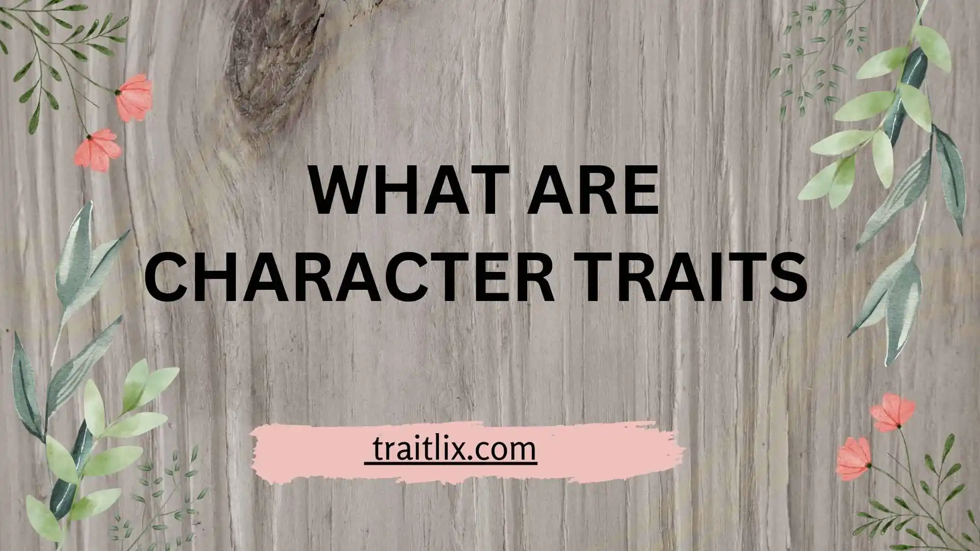 23+ What Are Character Traits? Examples, Types, and How to Identify Them