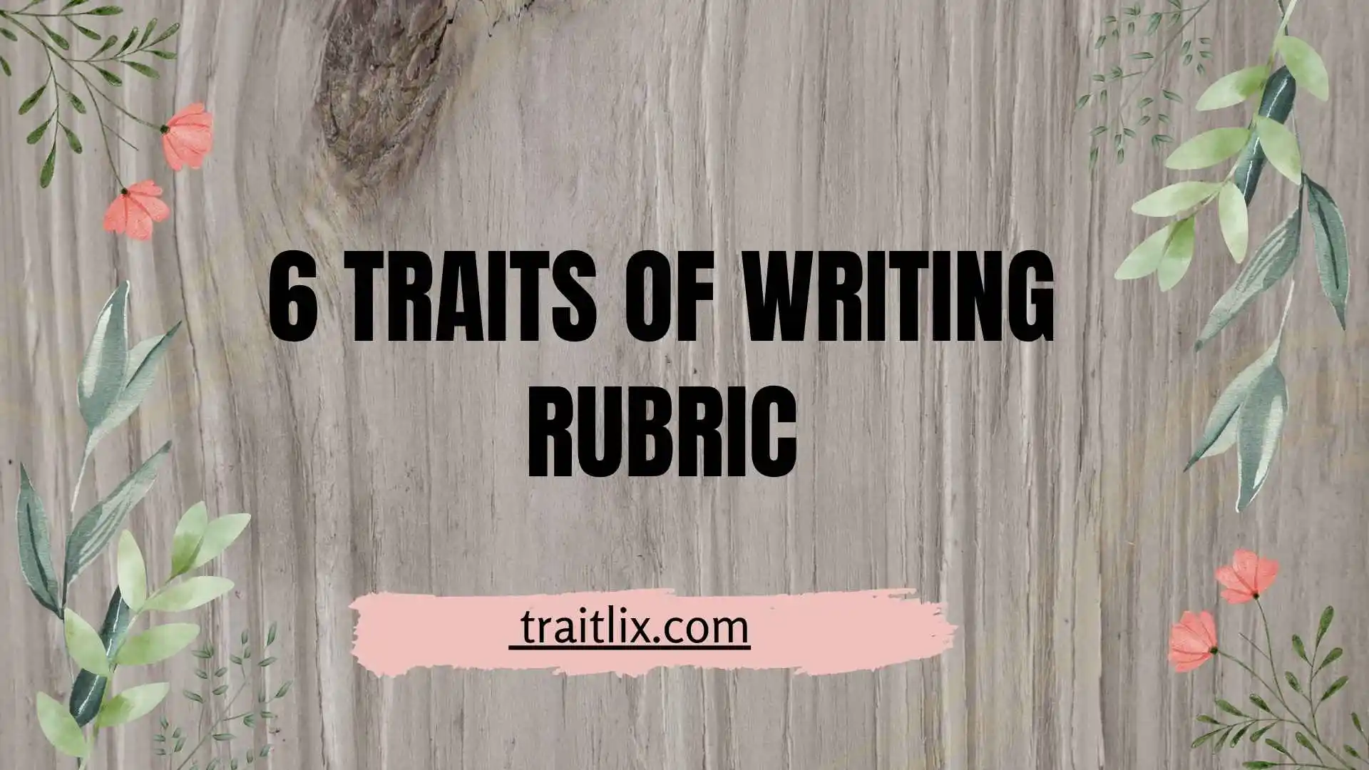 6 Traits of Writing: A Simple Guide to Stronger, More Effective Writing